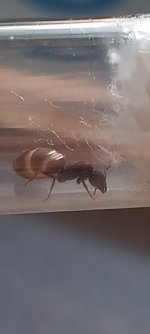 20250827_073626.jpg