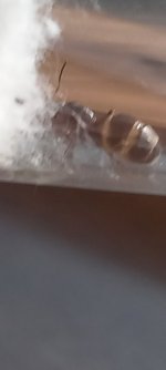 20250827_073559.jpg