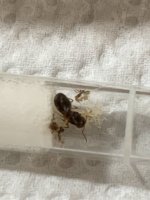 IMG_3794.jpeg IMG_3794.jpeg