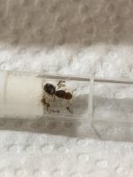 IMG_3796.jpeg IMG_3796.jpeg