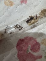 IMG_2023.jpeg