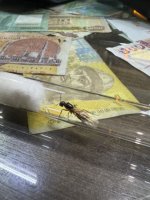IMG_2320.jpeg
