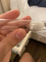 IMG_4592.jpeg