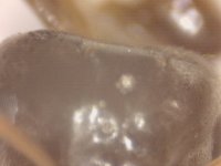20250830-173223-445.jpg