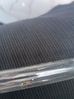 IMG_20250831_163853.jpg