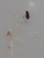 IMG_2394.jpeg