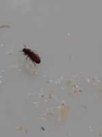 IMG_2393.jpeg