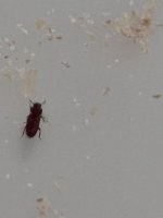 IMG_2391.jpeg