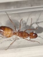 IMG_20250902_164938.jpg