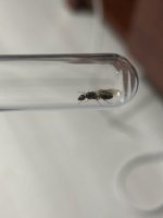 IMG_3022.jpeg