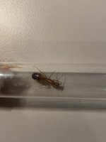 IMG_2637.jpeg