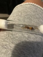 IMG_2612.jpeg