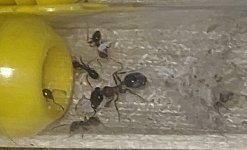 IMG_1559.jpeg