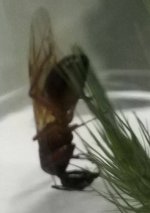 Screenshot_20250905-185752.jpg