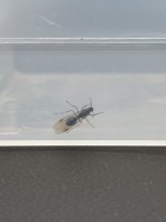 IMG_7117.jpeg