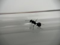 IMG_3871.jpeg