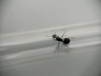 IMG_3873.jpeg