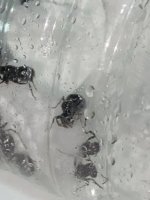 IMG_7235.jpeg