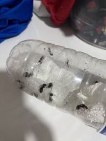 IMG_7232.jpeg
