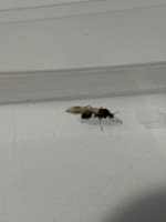 IMG_7130.jpeg
