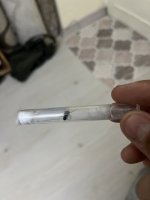 IMG_0997.jpeg