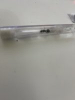 IMG_0994.jpeg