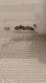 IMG20250907102401.jpg