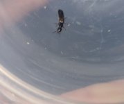 20250907_140302.jpg