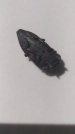 IMG_20250907_174055.jpg