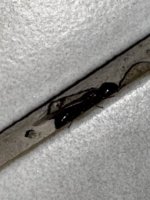 IMG_7535.jpeg