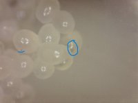 20250907-201205-639.jpg