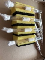 3237a85c-8320-4ff0-af23-f0f7324a690d.jpeg 3237a85c-8320-4ff0-af23-f0f7324a690d.jpeg