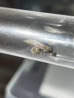 IMG_7292.jpeg