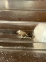 IMG_7288.jpeg