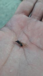 20250908_161536.jpg