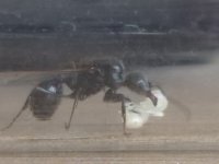 20250908_181153.jpg