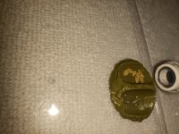 IMG_20250908_212017.jpg