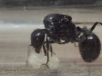 20250908_231828.jpg