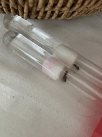 IMG_0235.jpeg