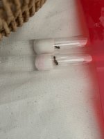 IMG_0237.jpeg