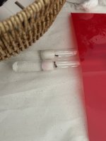 IMG_0238.jpeg