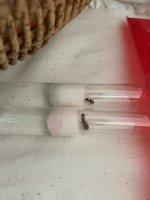 IMG_0239.jpeg
