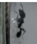 1757445245486.png