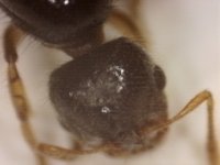20250911-144530-223.jpg