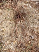 IMG_20250911_163603.jpg