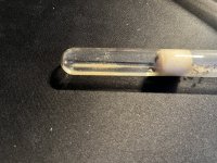 IMG_0491.jpeg