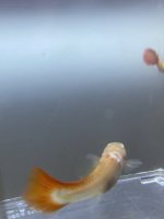 IMG_6870.jpeg
