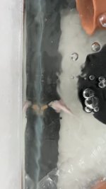IMG_4013.jpeg