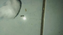 IMG_20250914_084338.jpg