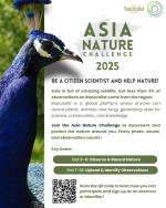 Call for Participants_1.png